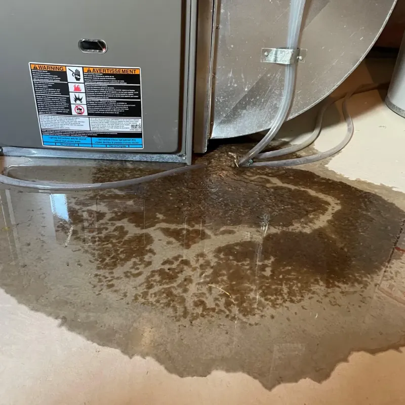 Appliance Leak Cleanup in Orange County, NY